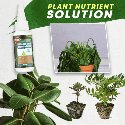 🌱1+1 ΔΩΡΕΑΝ🌿Διάλυμα θρεπτικών συστατικών φυτών