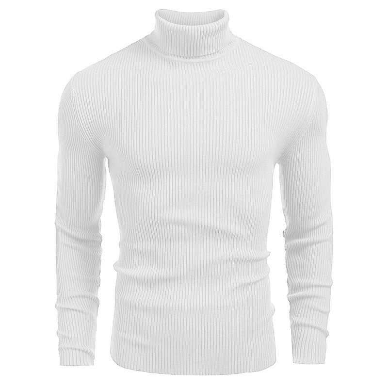 👔Slim & Versatile, 13 Colors🧶 Men's Turtleneck Sweater – Classic Solid, Business & Casual ✨