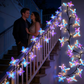 💖Ρομαντικά φώτα LED σε σχήμα πεταλούδας🦋