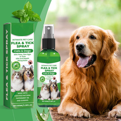 🐾 50% έκπτωση! Φυσικό σπρέι για ψύλλους και τσιμπούρια 🌿