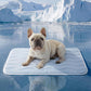 ❄️Summer Blowout! ❄️40% OFF 🧊PawDew™ for Dogs & Cats – Vet-Approved Ice-Silk Cooling Pad ❄️ | Q-MAX >0.4 | Washable 🧼, Non-Slip 🛟 | Perfect for Large Breeds & UK Summers ☀️🇬🇧
