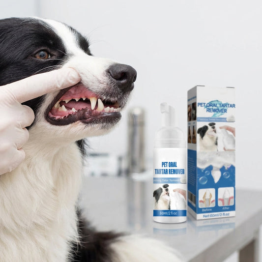🐾2+1 ΔΩΡΟ🦷Αφρώδης καθαριστής πέτρας για την στοματική φροντίδα κατοικίδιων