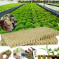 🌱Σπορόφυτα καλλιέργειας χωρίς χώμα