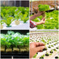 🌱Σπορόφυτα καλλιέργειας χωρίς χώμα